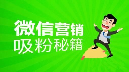 用好陌陌 每月轻松吸几千粉