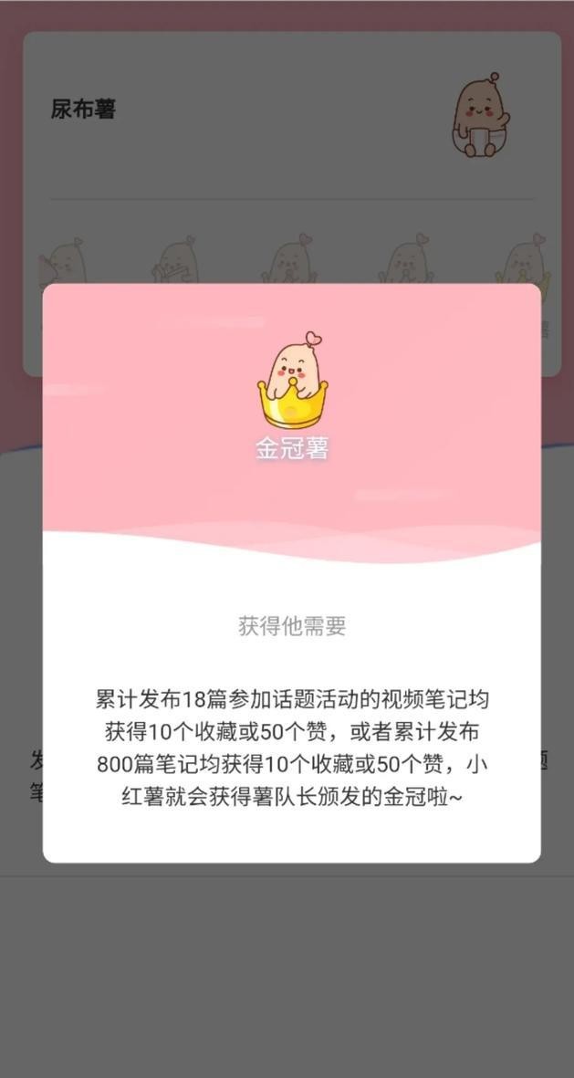 这里已经有关于小红书养号的技巧了