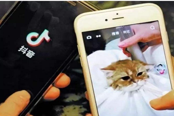 一部手机号码可以注册几个抖音?