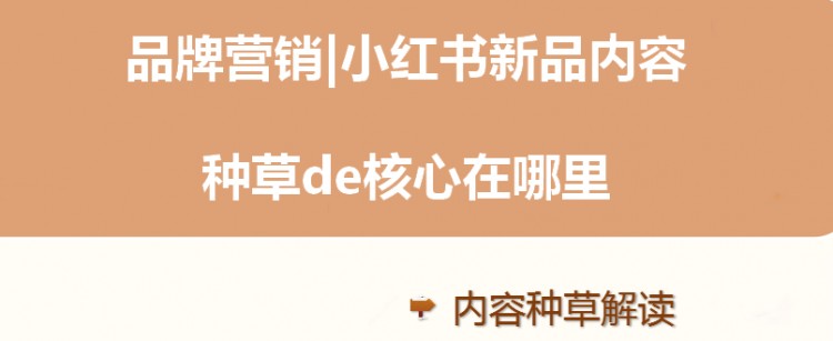 究竟什么是内容种草，怎样做好小红书产品种草！