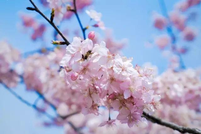 多少爱情始于微信死于微信