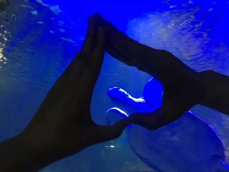 Soul奔现故事：跨越2000公里来爱你