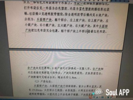SoulApp法医找到真爱:坚守使命携手并进