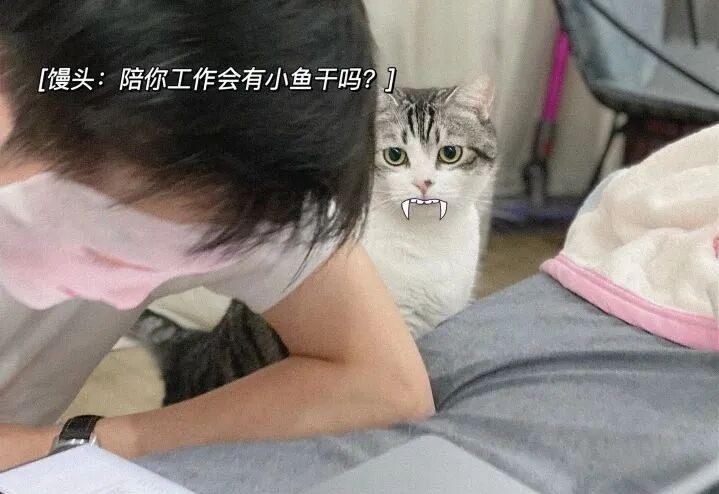 首批Soul发糖合集来了！详细数一下广场上那些记录甜蜜爱情的瞬间