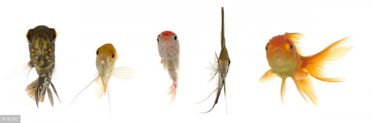 还傻傻的认为微信社群是人数爆满的微信群手把手教你4步搭建社群