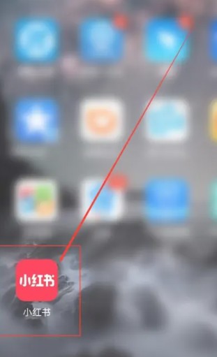 怎样查看一个人的小红书号？